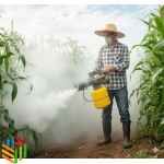 Super 2000 Mini Sprayers Fogging Machine for pest control.